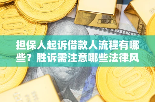济南担保人起诉借款人流程有哪些？胜诉需注意哪些法律风险？