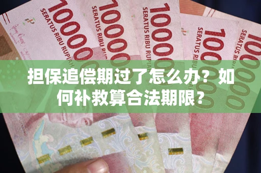 济南担保追偿期过了怎么办？如何补救算合法期限？